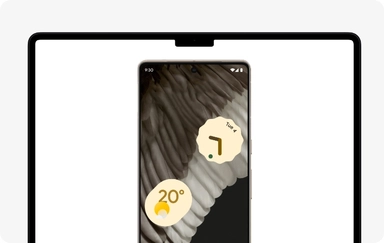 Remote Access Management